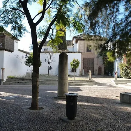 Centro Apartaluz-8 Wifi Pk