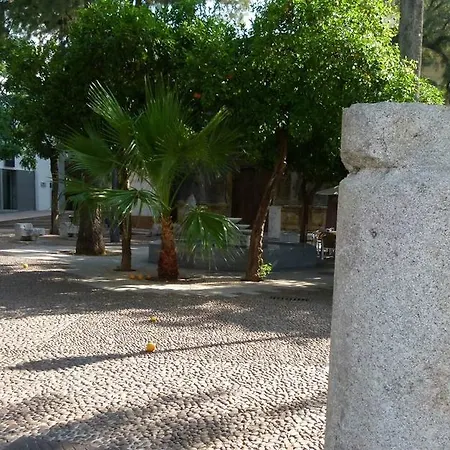 Centro Apartaluz-8 Wifi Pk *