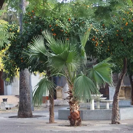 Centro Apartaluz-8 Wifi Pk * Cordoba