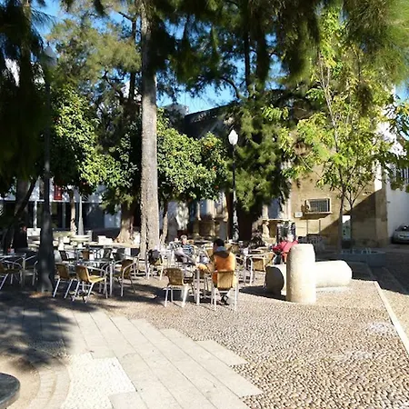 Centro Apartaluz-8 Wifi Pk