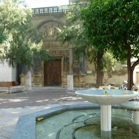 Centro Apartaluz-8 Wifi Pk