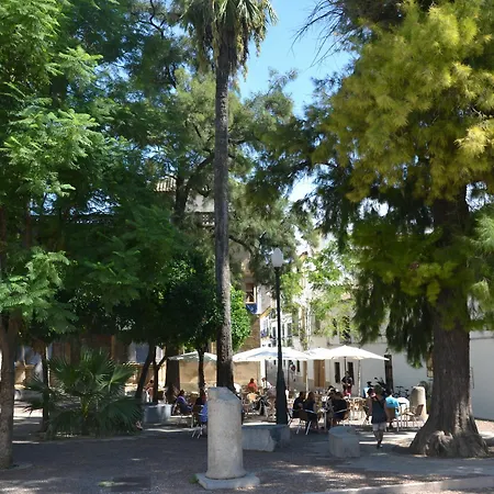Centro Apartaluz-8 Wifi Pk