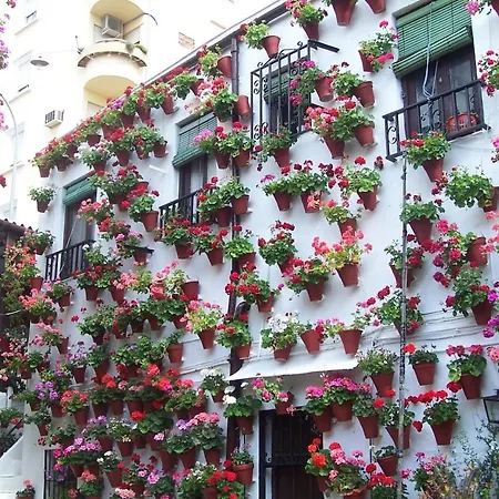 Apartment Centro Apartaluz-8 Wifi Pk Cordoba